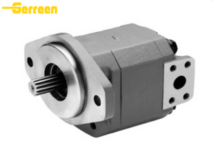 Pompe a ingranaggi in ghisa P315 Parker